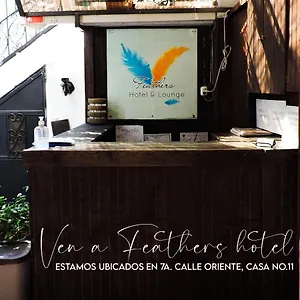 Hotel Feathers & Lounge